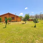 Timber Dream * Kerasia (Euboea)