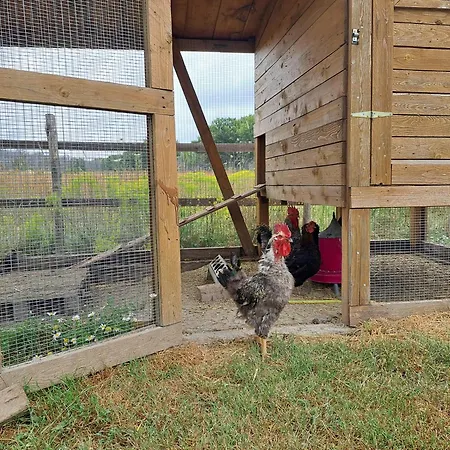 Σπίτι διακοπών Timber Dream