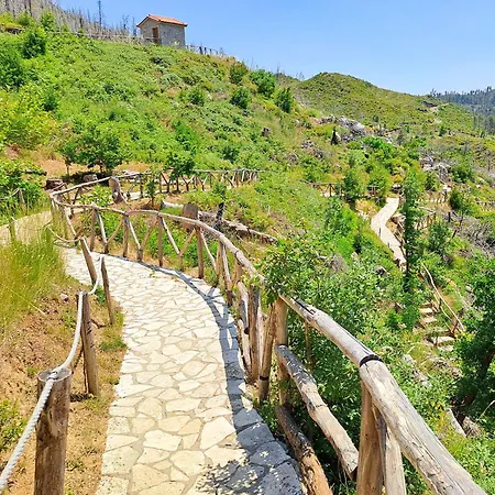 Timber Dream Casa vacanze *