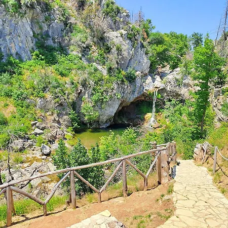 Timber Dream Kerasia (Evia)