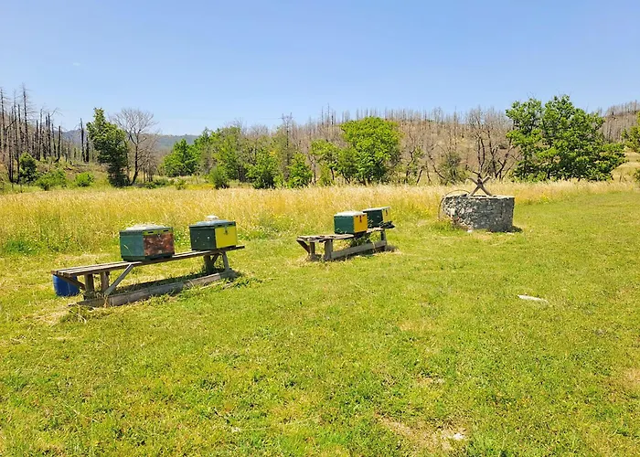 Timber Dream Сasa de vacaciones